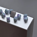 Moyu Studio x XCJZ Snow Grape switches